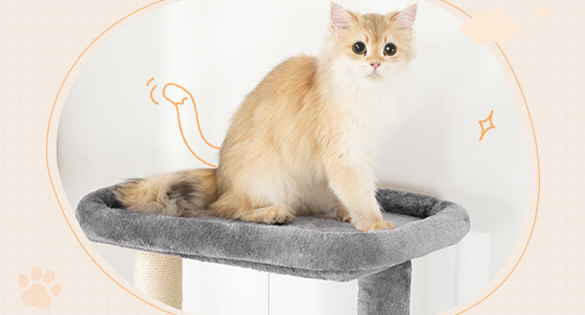 cat tree with litter box enclosure