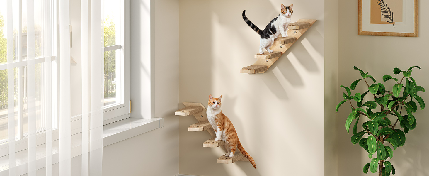 Cat wall shelves