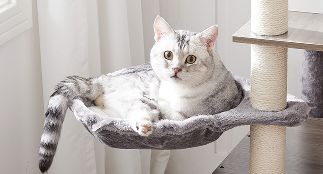 Cat Tree with Litter Box Enclosure