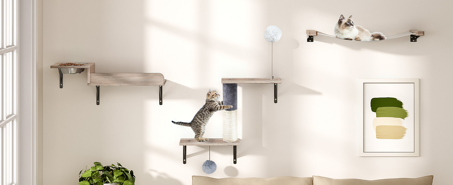 Cat wall furniture