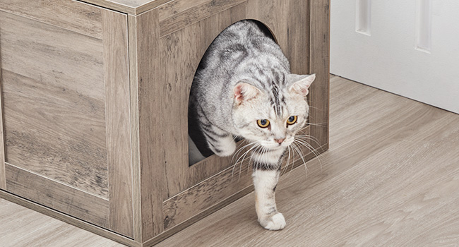 Cat Tree with Litter Box Enclosure