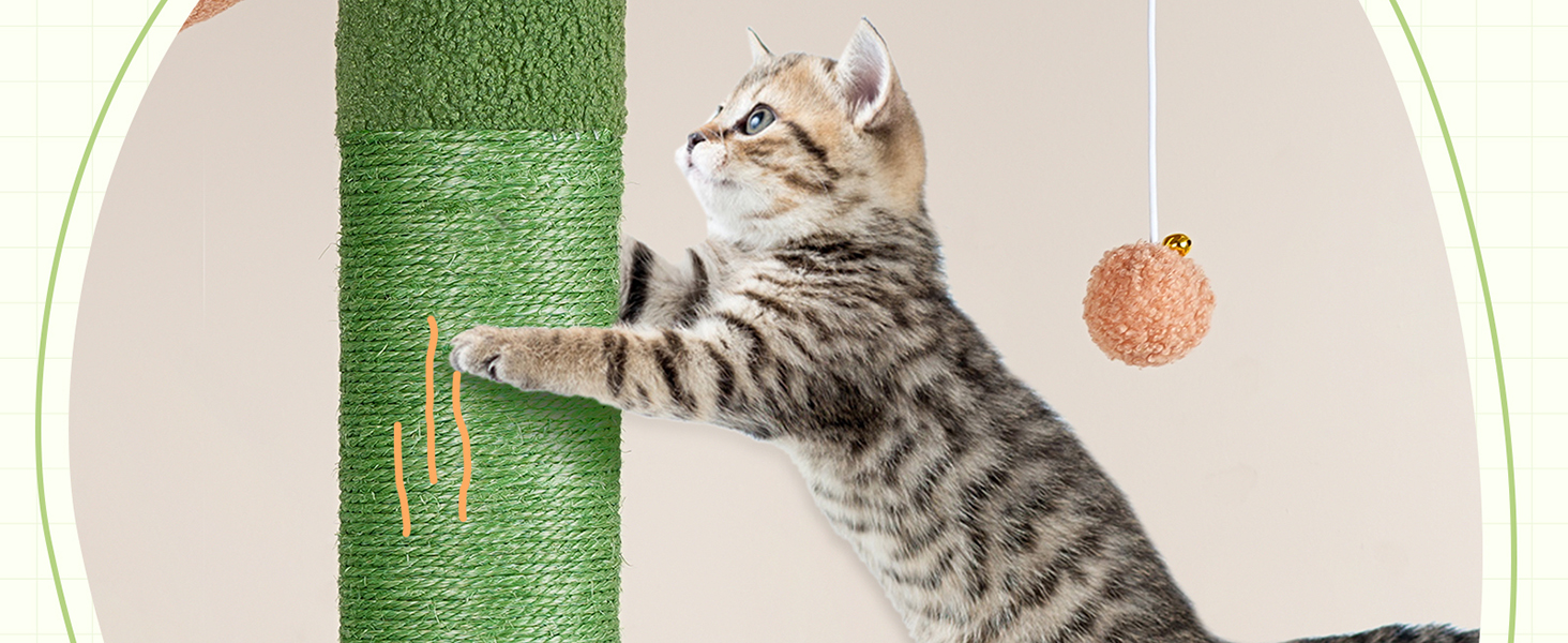 Tall Cat Climbing Tree