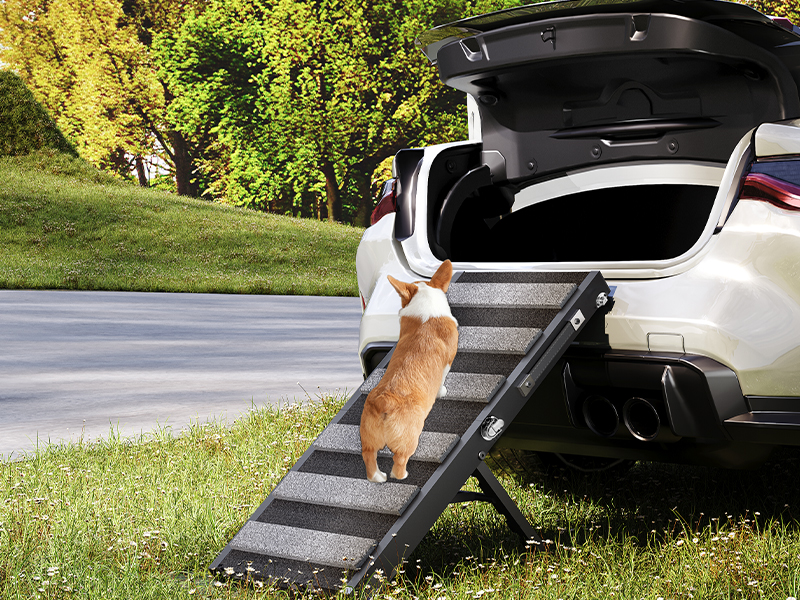 dog car ramp