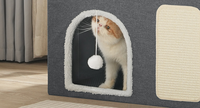 Cat Litter Box Enclosure