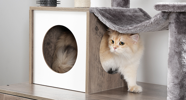 cat tree with litter box enclosure