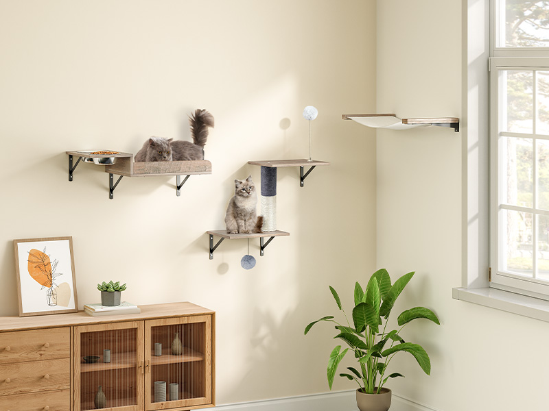 Cat wall furniture