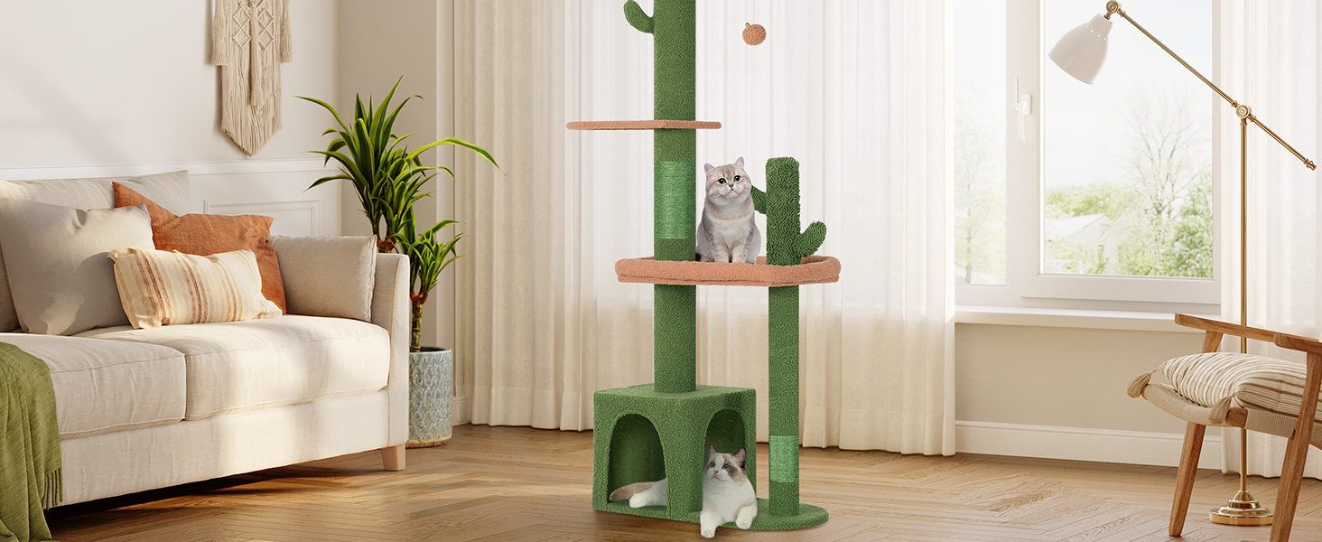 Cat Treer Floor to Ceiling