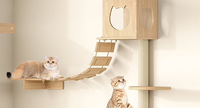 cat wall furniture