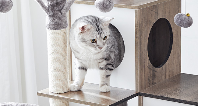 Cat Tree with Litter Box Enclosure