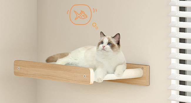 cat wall furniture