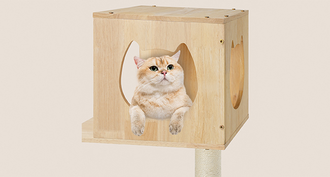 cat wall furniture