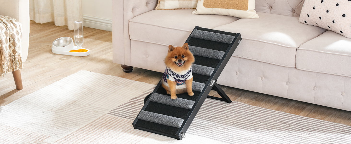 dog ramp