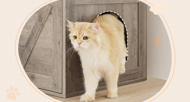 cat tree with litter box enclosure