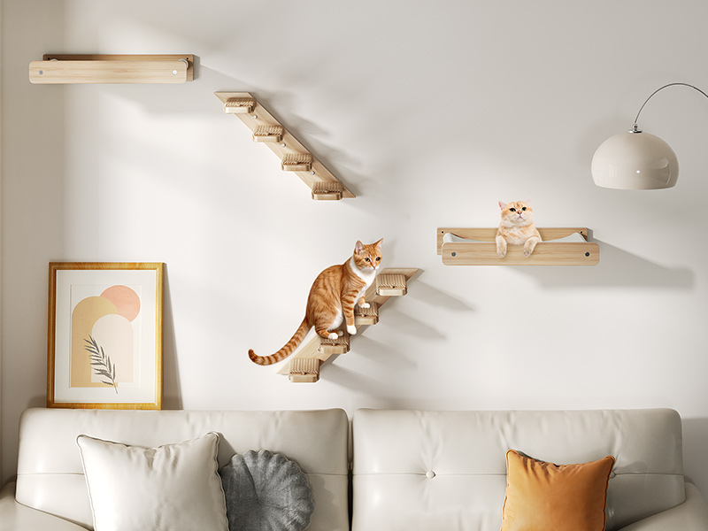 Cat wall shelves